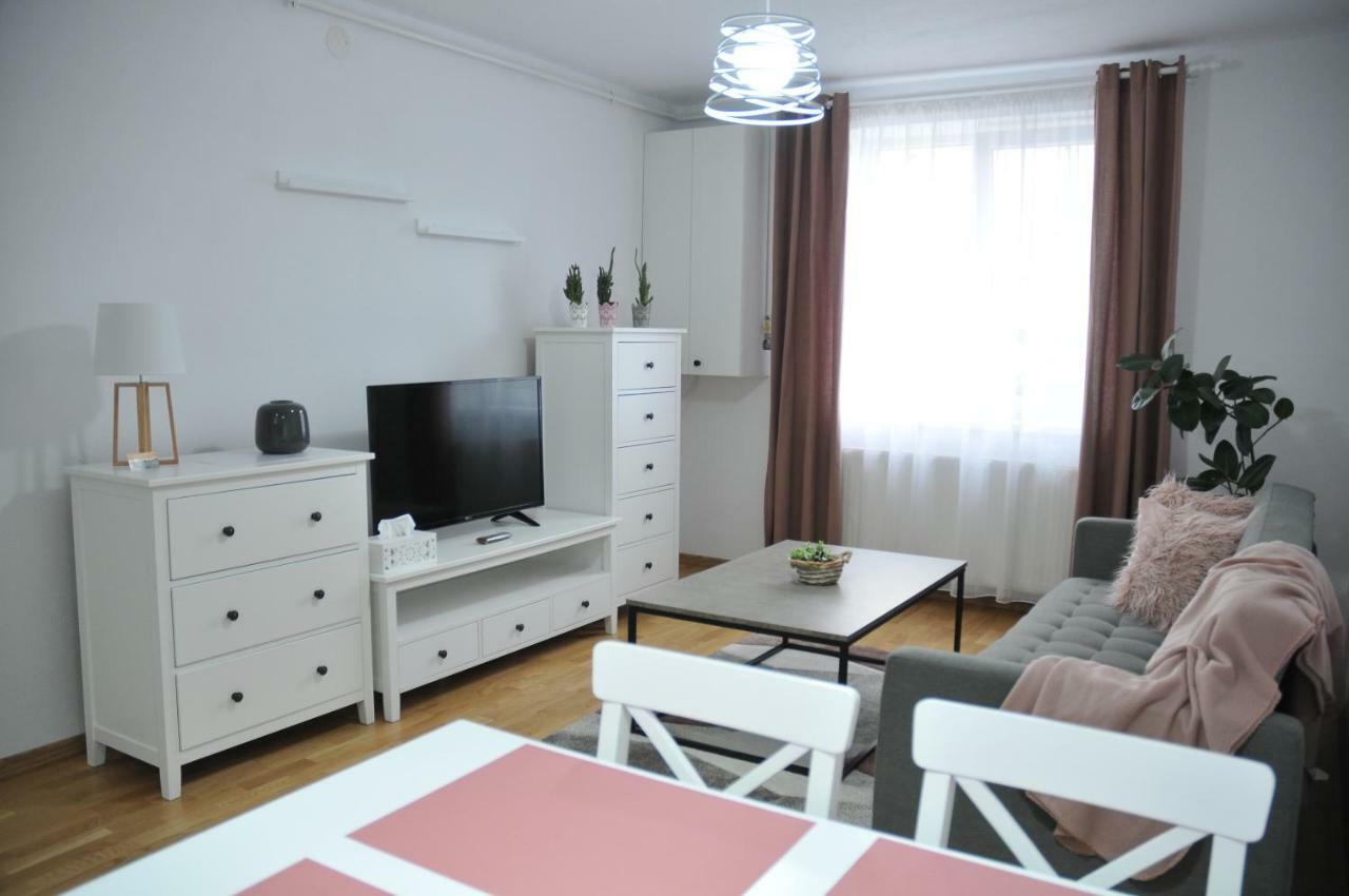 Ana Cristina Apartament Sighişoara Exterior foto